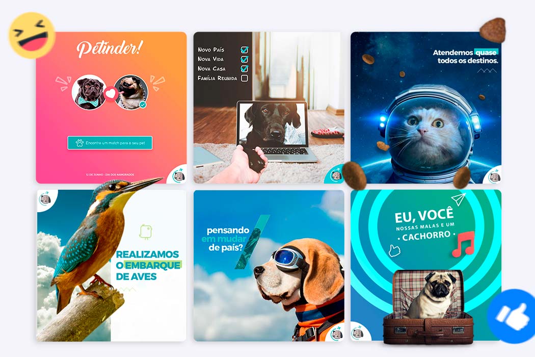 Animais de Estimação